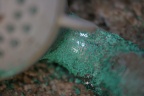 IMG 0514